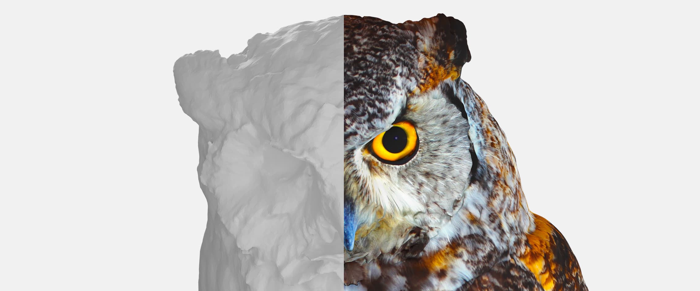 Artec Studio Texturerfassung